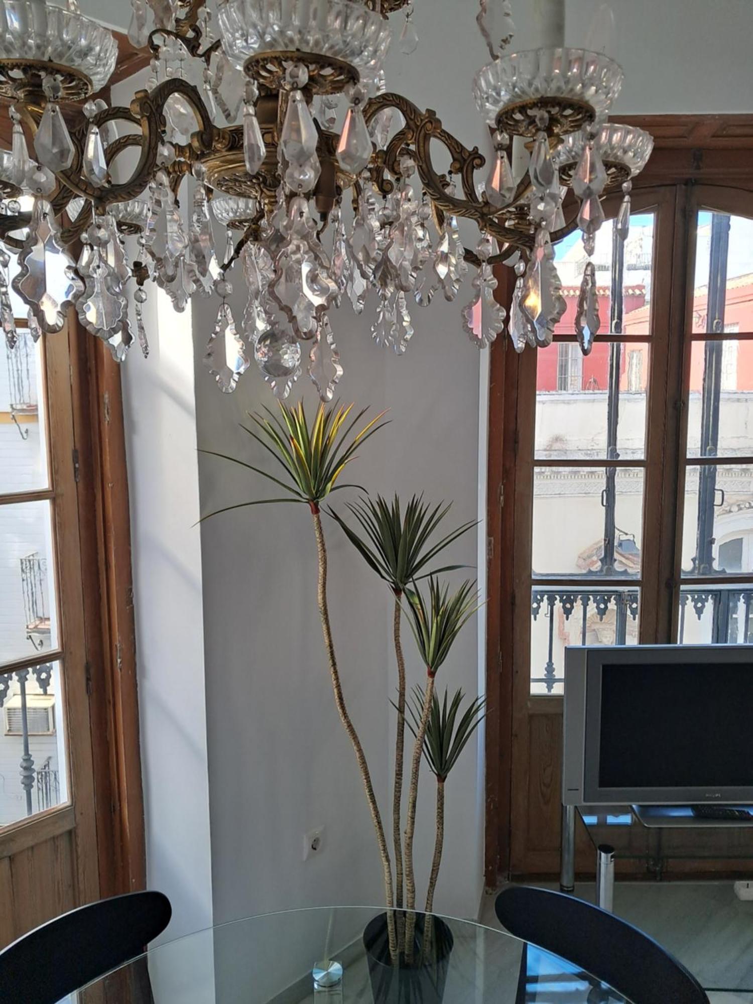 Apartamentos Almirante Hoyos Sewilla Zewnętrze zdjęcie
